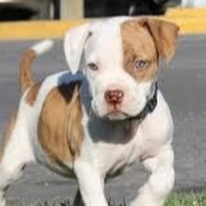 Meet your Posher, Kathryn